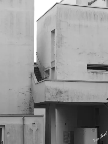Contrast and Perspective